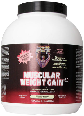 Healthy Fit Muscular Weight Gain v3.0 Extreme Vanilla Flavor-4.4 Lb