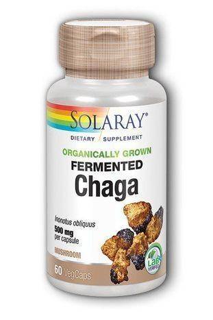 Solaray Organically Grown Chaga Mushroom - 60 VCaps