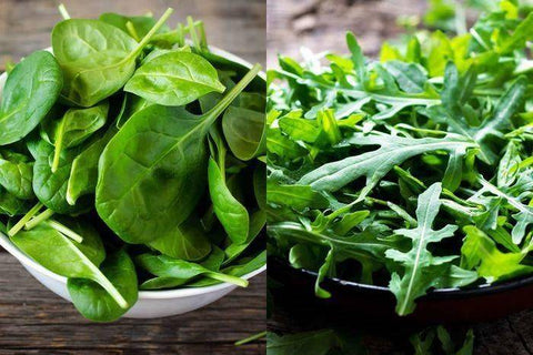 Solata Farms Baby Arugula & Baby Spinach - 5 Ounces
