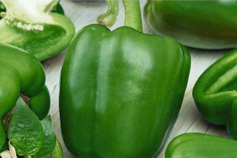 Organic green peppers