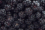 North Bound Organic Blackberries - 170 Grams