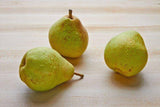 Comice Pears