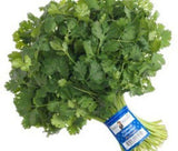 Josie's Organic Cilantro