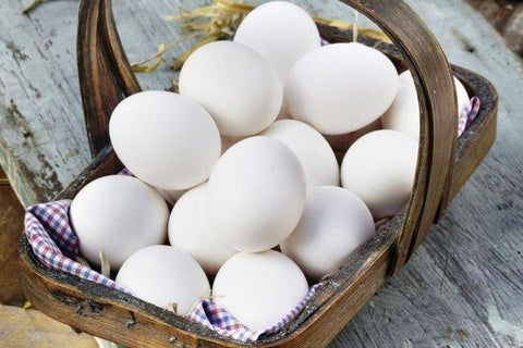 Pine Belt Eggs Grade A Large Eggs - 1 Dozen