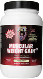 Healthy Fit Muscular Weight Gain v3.0 Extreme Vanilla Flavor-2.5 Lb