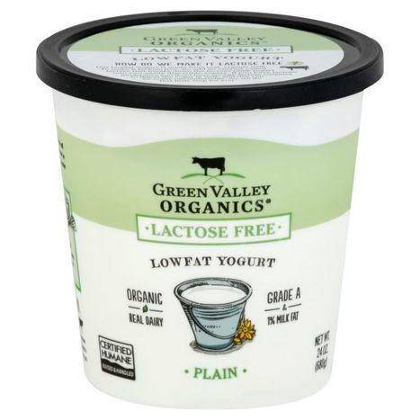 Green Valley Organics Yogurt, Lactose Free, Lowfat, Organic, Plain - 24 Ounces