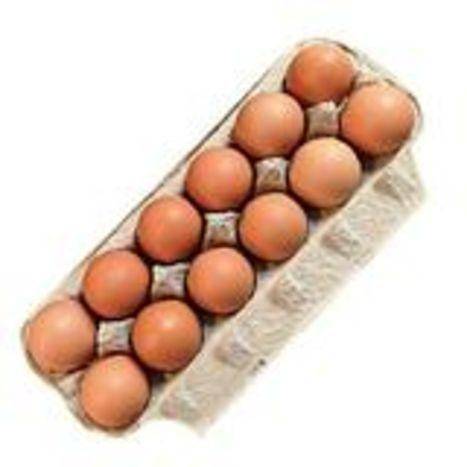 Sauder's Organic Medium Eggs - 12 Count