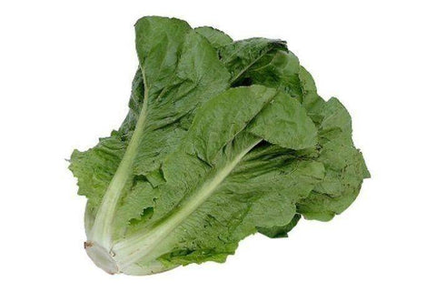 ORGANIC ROMAINE LETTUCE