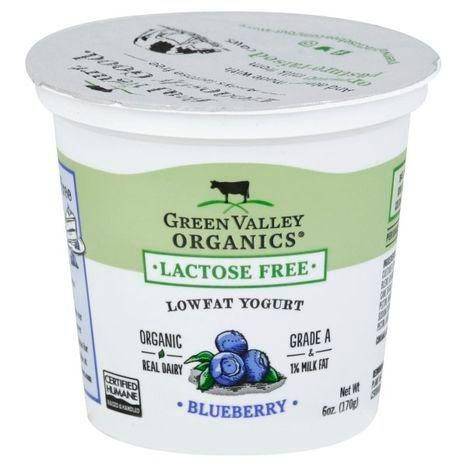 Green Valley Organics Yogurt, Lactose Free, Lowfat, Organic, Blueberry - 6 Ounces