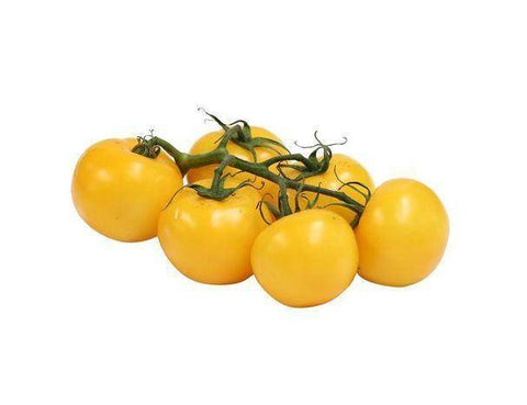 Yellow Vine Tomato