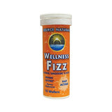 Source Naturals Wellness Fizz Natural Tangerine Flavor-10 Wafers