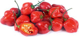 Habanero Pepper (Red)