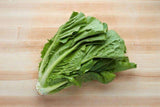 Organic Romaine Hearts - 12 Ounces