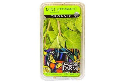 Jacob's Farm Mint Spearmint
