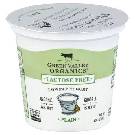Green Valley Organics Yogurt, Lactose Free, Lowfat, Organic, Plain - 6 Ounces