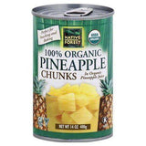 Native Forest Pineapple, 100% Organic, Chunks - 14 Ounces