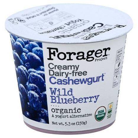 Forager Cashewgurt, Organic, Wild Blueberry - 5.3 Ounces