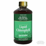 Buried Treasure Liquid Chlorophyll, Spearmint - 16.23 Fluid Ounces